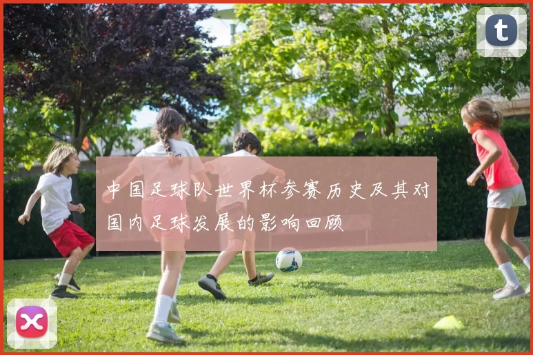 中国足球队世界杯参赛历史及其对国内足球发展的影响回顾