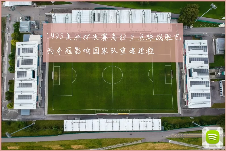 1995美洲杯决赛乌拉圭点球战胜巴西夺冠影响国家队重建进程