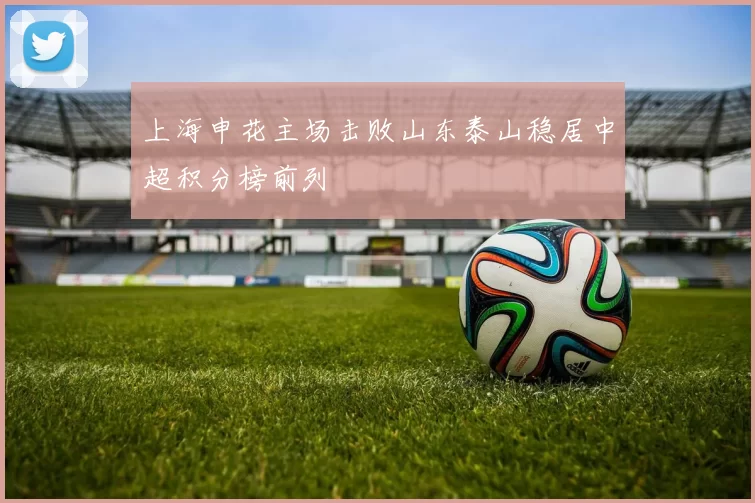 上海申花主场击败山东泰山稳居中超积分榜前列